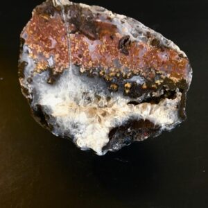 Agata Calandria Specimen.