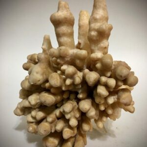 Aragonita mineral.