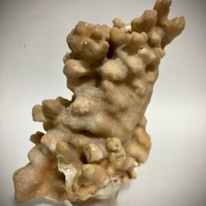 Aragonita mineral.