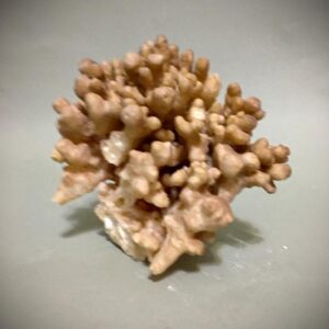 Aragonito Mineral Espécimen, Santa Eulalia, Chih. Mx. ( 0.550 Kls. 19.43 Oz. )